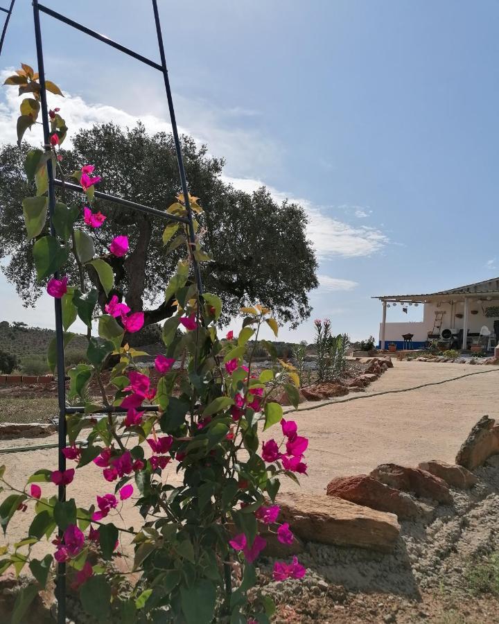 Monte Beatriz Villa Reguengos de Monsaraz Exterior photo