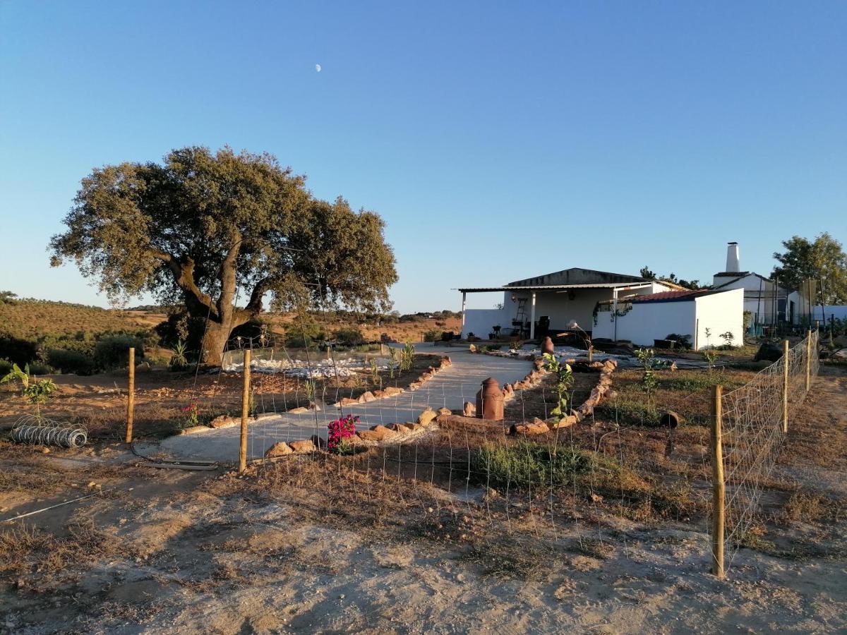 Monte Beatriz Villa Reguengos de Monsaraz Exterior photo